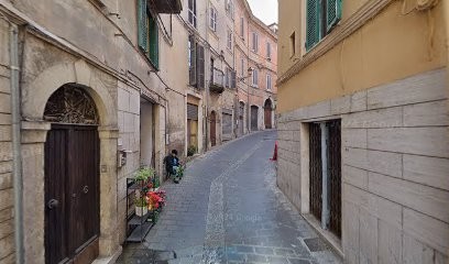 Fioridea, Fiorista a Frosinone