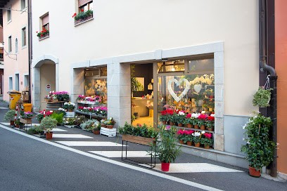 Fiori Di On, Fiorista a Fagagna