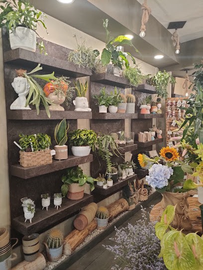 La Peonia Di Valentina Sbrescia - Fiori e Bellezza per i tuoi momenti speciali, Fiorista a Mercogliano