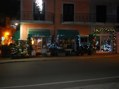 Piante E Fiori Puntoverde Di Carfagno Franco, Fiorista a Montella