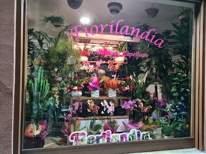Fiorilandia, Fiorista a Roma