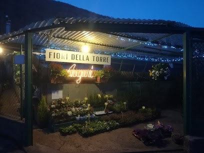 Fiori Della Torre Di Carlesso Maurizio, Fiorista a Induno Olona