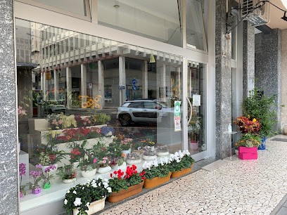 Fioreria Cristallo Di Turchet Luciano, Fiorista a Pordenone