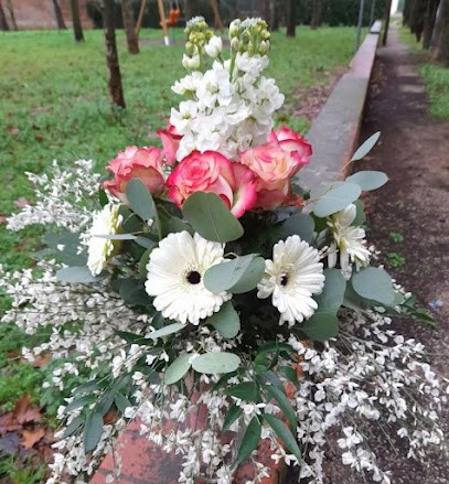 Fiori E Piante Il Chiosco, Fiorista a Monsummano Terme