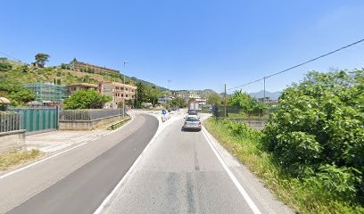 Vivaio Piante Idro Surago Di Leone Giuseppe S.R.L.S, Fiorista a Castel San Giorgio