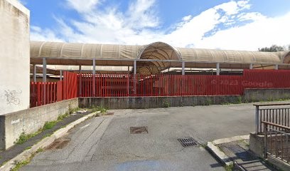 Il Potere Dei Fiori, Fiorista a Roma