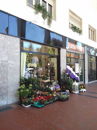 L'Orchidea Cuneo, Fiorista a Cuneo