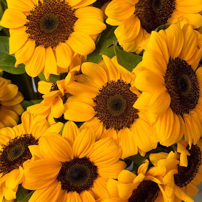 L'Orchidea di Pilloni Giuliana Fiori e Piante - Addobbi, Fiorista a Decimomannu