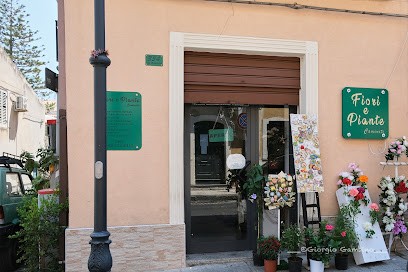 Fiori E Piante Di Caminiti, Fiorista a Nizza di Sicilia