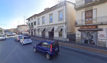 Puccini Fiori Snc Di Puccini F &C, Fiorista a Empoli