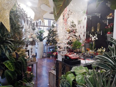 FC Fiori Ed Eventi, Fiorista a Moncalieri