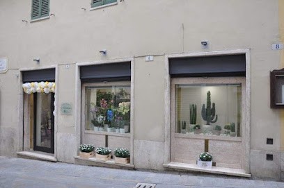 L'Orchidea di Rompietti Grazia, Fiorista a Amelia