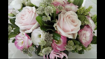 La Tuberosa, Fiorista a Terni