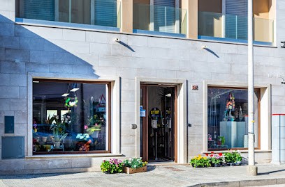 Fiori E Piante | Di Gigi E Sveva, Fiorista a Elmas