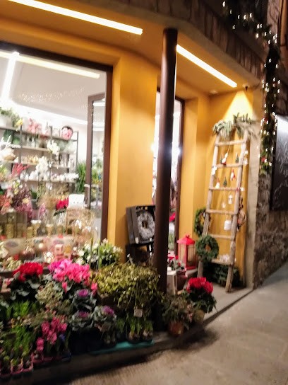 I Fiori Di Giovanna E Alessandra, Fiorista a San Casciano in Val di Pesa