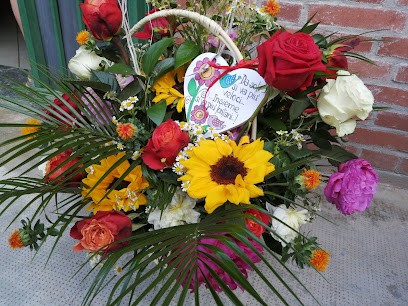 Fioreria Le Mimose Di Pacella Azzurra, Fiorista a Mede