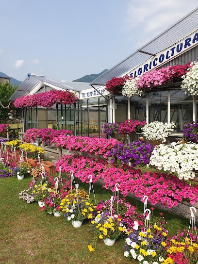 Rabbiosi Angelo, Fiorista a Mesenzana