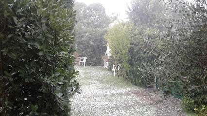 Fiorista 1 Fiore Per Te Di Margherita Oldani, Fiorista a Montecatini-Terme