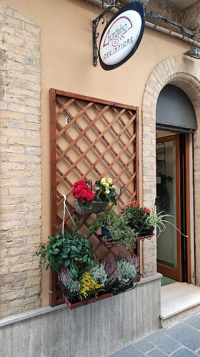 Fiordaliso Di Coppa Anna Maria, Fiorista a Ortona