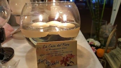 La Casa Del Fiore Di Mariadomenica Pileri, Fiorista a Sant'Antonio di Gallura