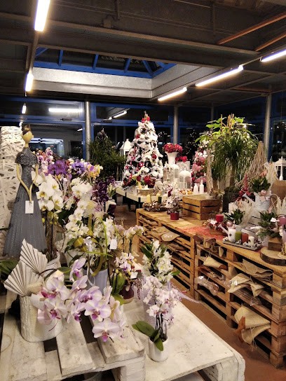 Fioreria Girasole Clara, Fiorista a Santa Giustina in Colle