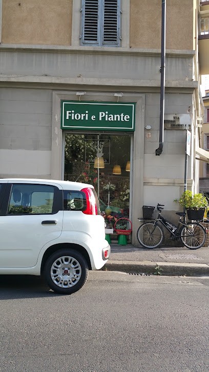 Endemika Fiori E Piante Firenze, Fiorista a Firenze