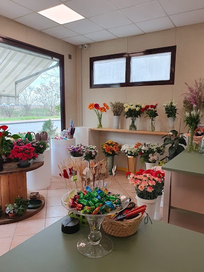 L'Angolo Fiorito, Fiorista a Noceto