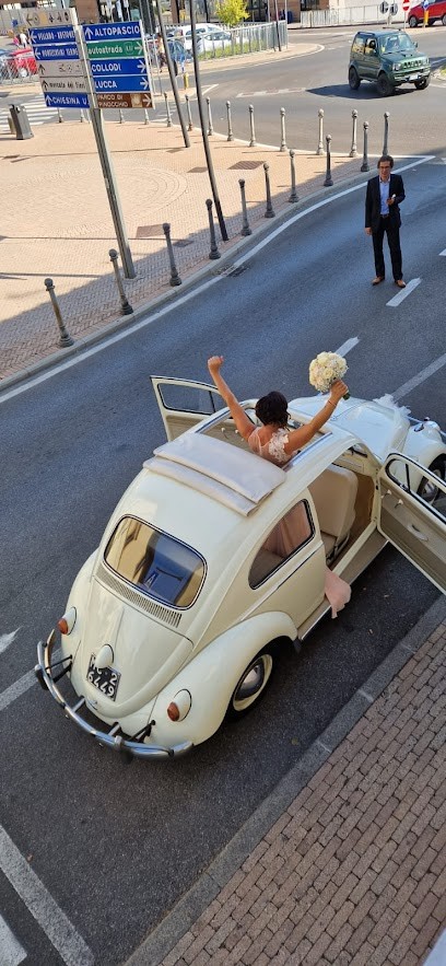 NonSoloFiori Di Patricia Molendi, Fiorista a Pescia