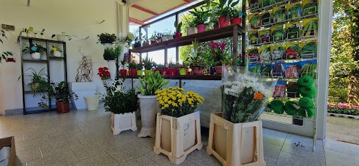 I Fiori della Sorgiva, Fiorista a Spirano