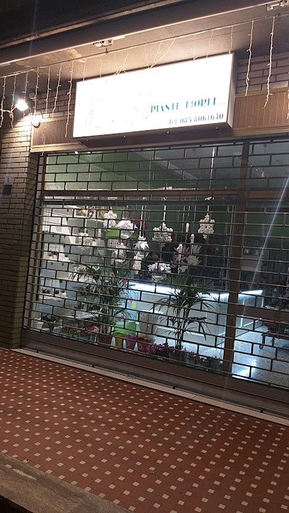 Fiorilù, Fiorista a Mosciano Sant'Angelo