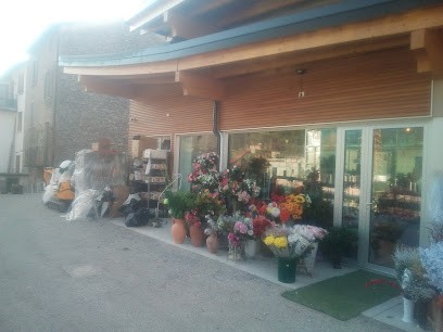 Fiori E Piante Tironi, Fiorista a Val Brembilla