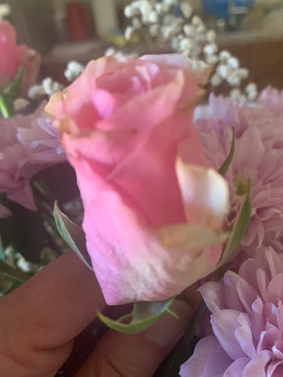 BF Fioreria, Fiorista a Resiutta