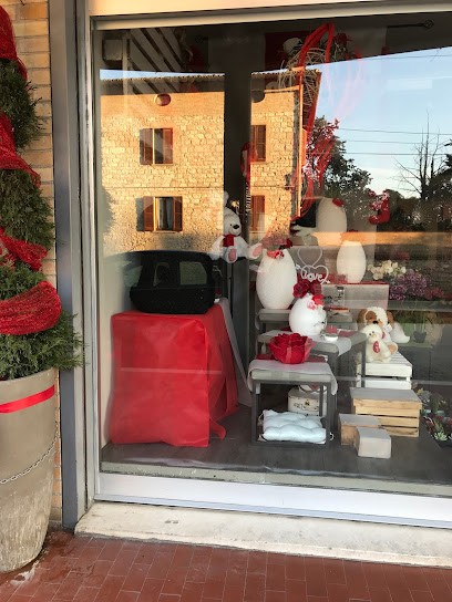 L'orchidea, Fiorista a Gubbio