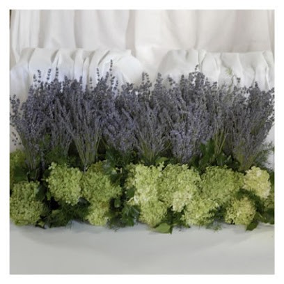 halston z-14, Fiorista a Seniga