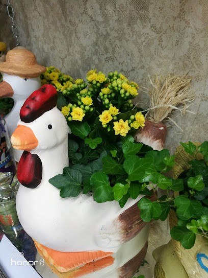 Crocicchia Guido, Fiorista a Roma