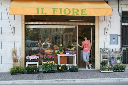 Il Fiore Di Malaguti Claudia, Fiorista a Finale Emilia