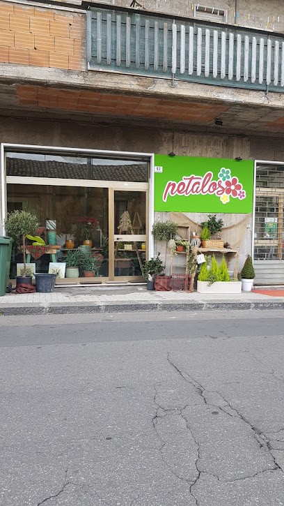 Petaloso, Fiorista a Randazzo