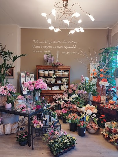 La Bottega Del Verde Di Chiefari Diego Giovanni, Fiorista a Torino