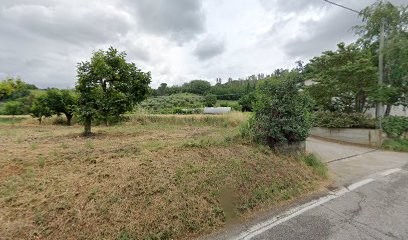 Floricoltura Magnani Di Giovannini Gianni, Fiorista a Cesena