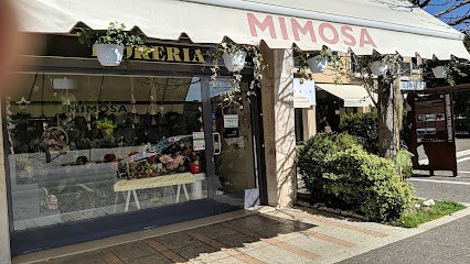 Fioreria Mimosa, Fiorista a Motta di Livenza