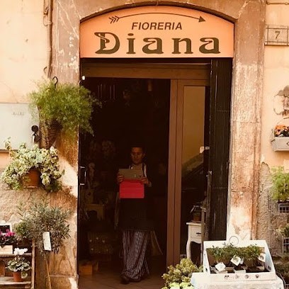 Fioreria Diana Servizio Interflora, Fiorista a Sulmona