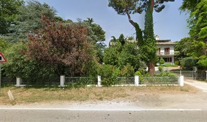 Sampaolesi Paolo, Fiorista a Castelfidardo