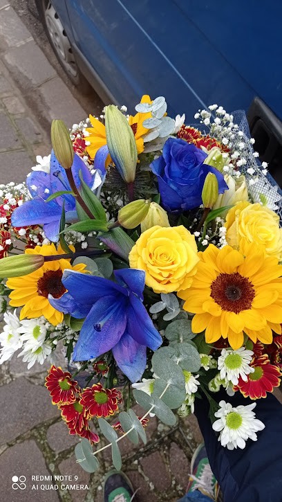 Il fiore extra, Fiorista a Carpi