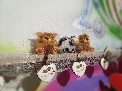 Piante E Fiori Di Totani Loredana, Fiorista a L'Aquila