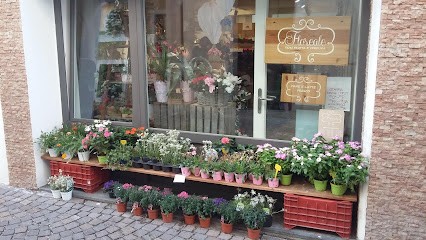 Floreale, Fiorista a Pieve Tesino
