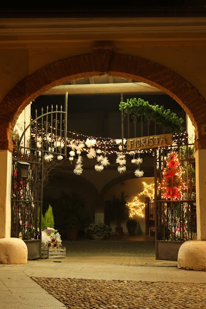 Fiorista Giovanna Fiori, Fiorista a Polpenazze del Garda