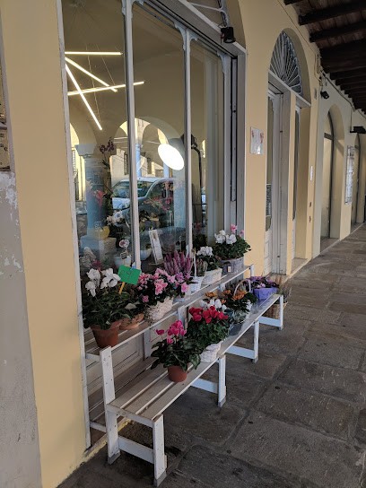 La Floreale, Fiorista a Castelleone