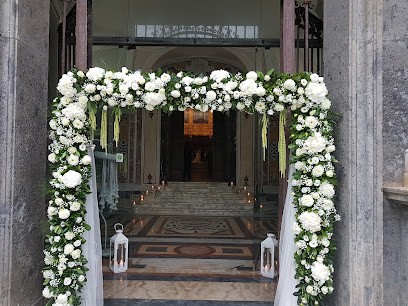Anthurium Di Santoriello Luca, Fiorista a Cava de' Tirreni