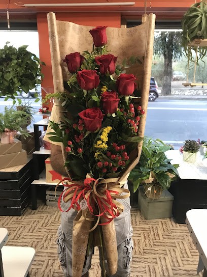 Enea Piante E Fiori, Fiorista a Sesto Fiorentino