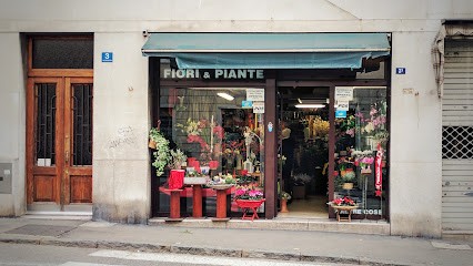 Fiori San Giusto Di Sauli Tania, Fiorista a Trieste
